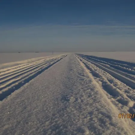 Kissankello, Nostalginen Rauhoittava Ruokola