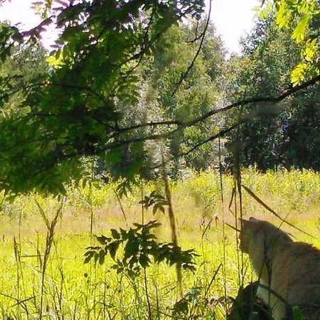 Διαμέρισμα Kissankello, Nostalginen Rauhoittava *