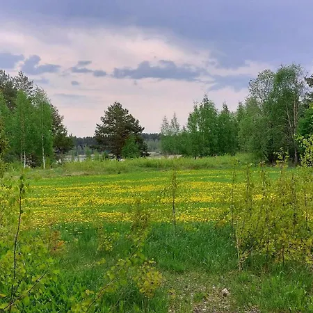 Kissankello, Nostalginen Rauhoittava Huoneisto Ruokola