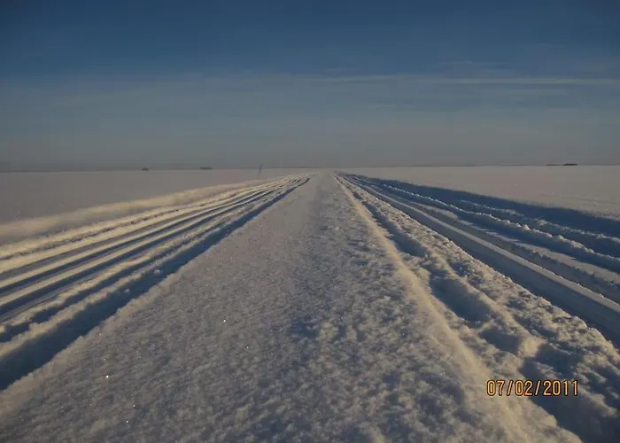 Kissankello, Nostalginen Rauhoittava Ruokola