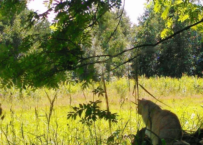 Appartamento Kissankello, Nostalginen Rauhoittava *