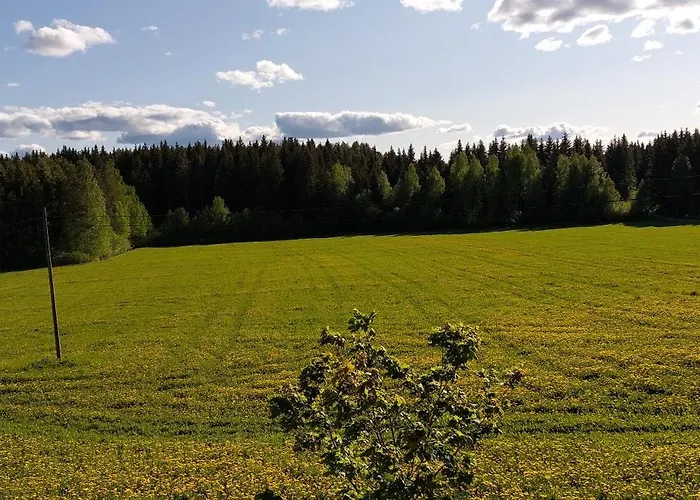 Kissankello, Nostalginen Rauhoittava Appartamento Ruokola